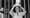 37 anos de democracia constitucional – a Constituição resiste!