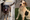 Paraná terá manifestações por justiça nos casos dos cães comunitários Orelha e Abacate