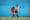 With 12 matches and 40 goals, the Suburbana shakes Curitiba between Serie A and the debut of Serie B